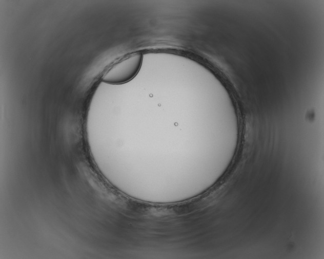 X0000116621407200912312129