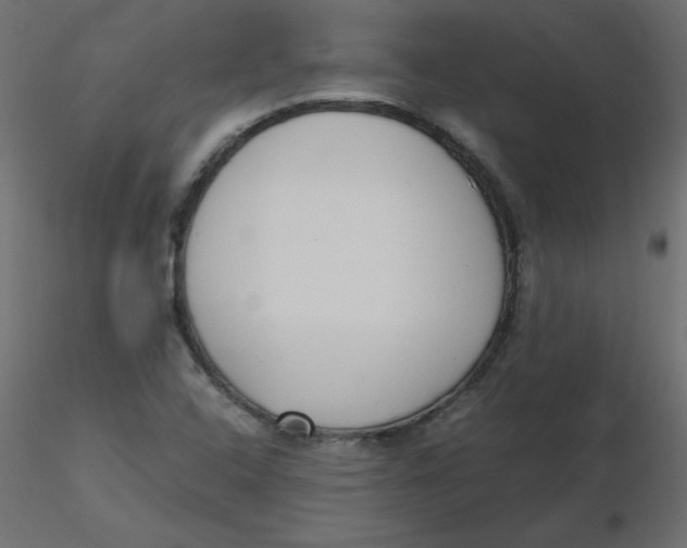 X0000116621408200912312129