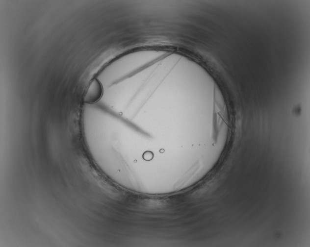 X0000116621409200912312129