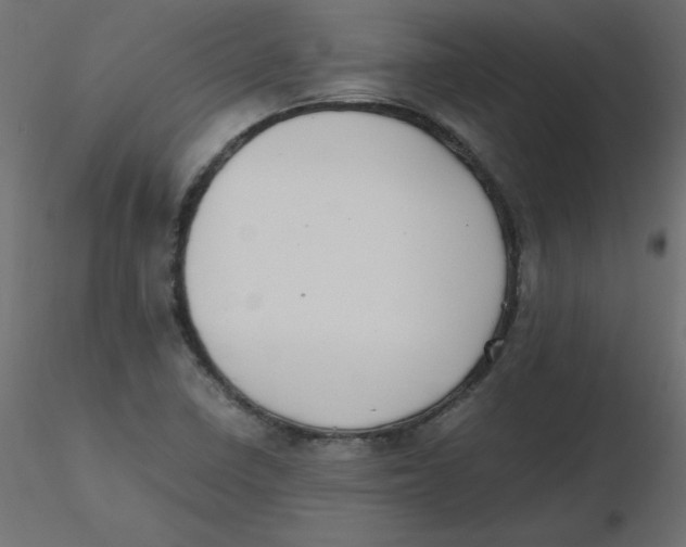 X0000116621410200912312129