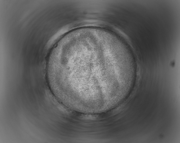 X0000116621411200912312129