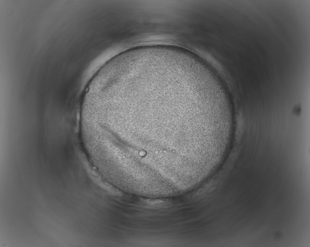 X0000116621413200912312129