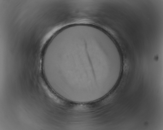 X0000116621414200912312129