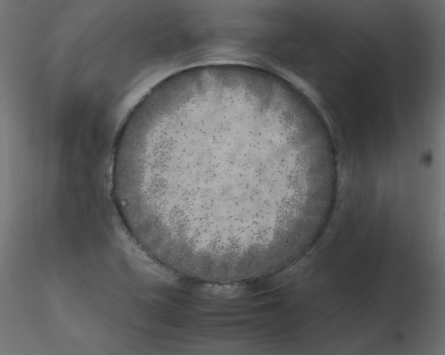 X0000116621415200912312129