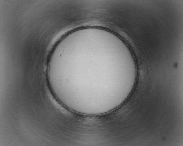 X0000116621416200912312129