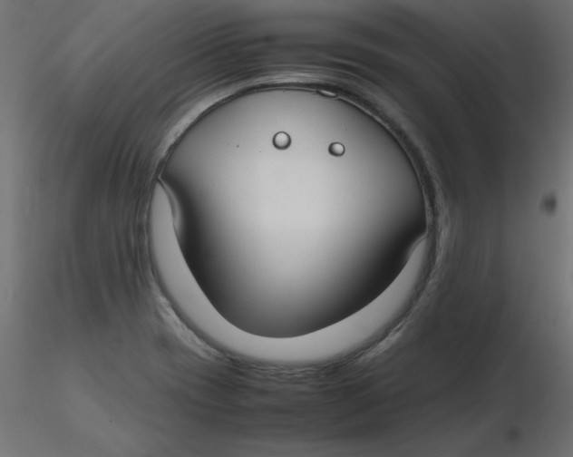 X0000116621417200912312129