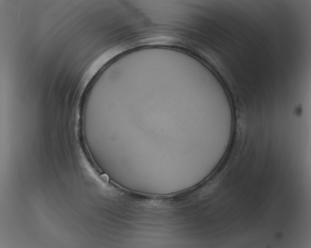 X0000116621418200912312129