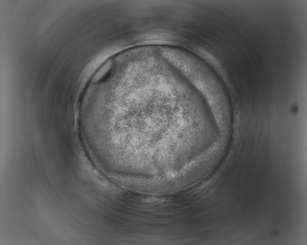 X0000116621419200912312129