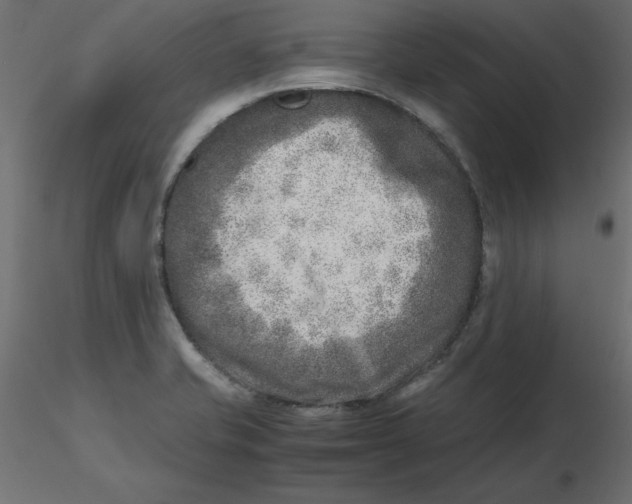 X0000116621421200912312129