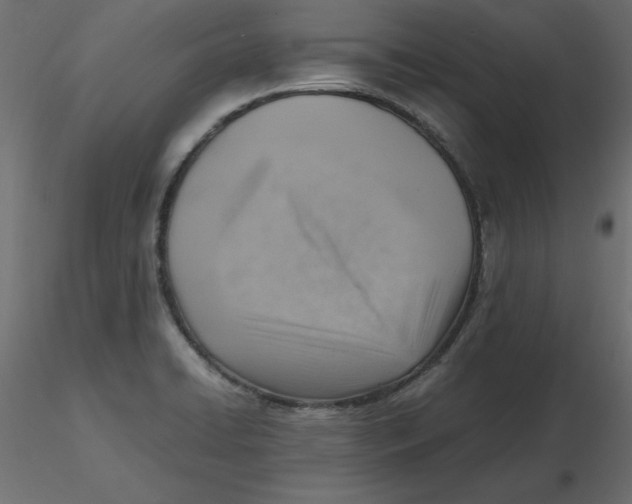 X0000116621422200912312129