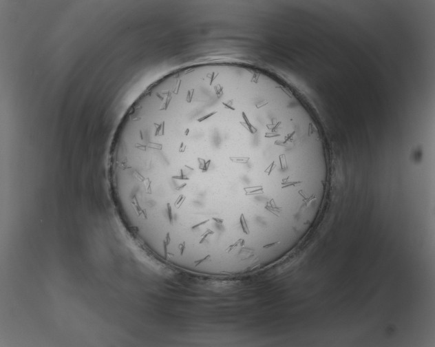 X0000116621423200912312129