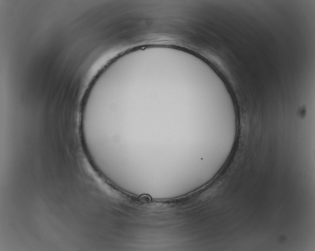 X0000116621424200912312129