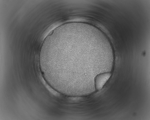 X0000116621425200912312129