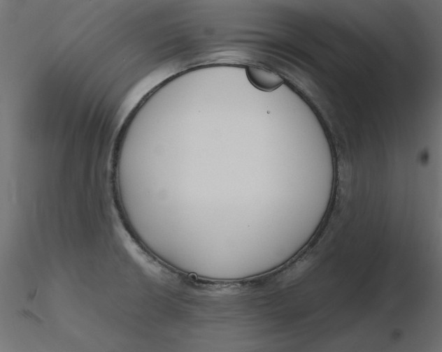 X0000116621426200912312129