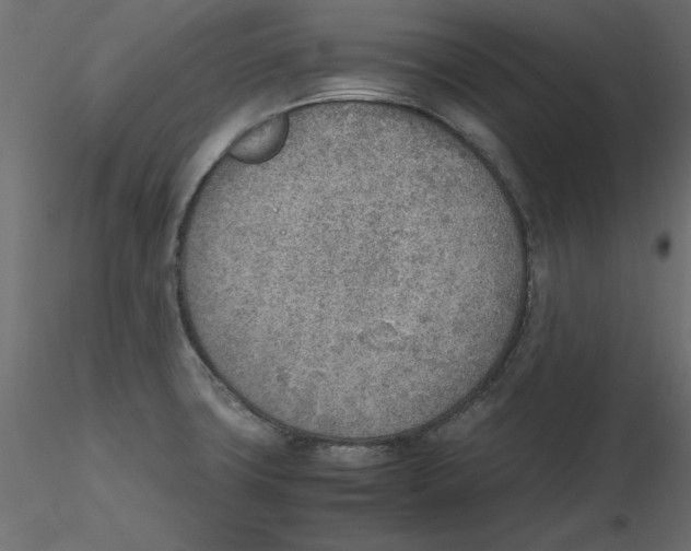 X0000116621427200912312129