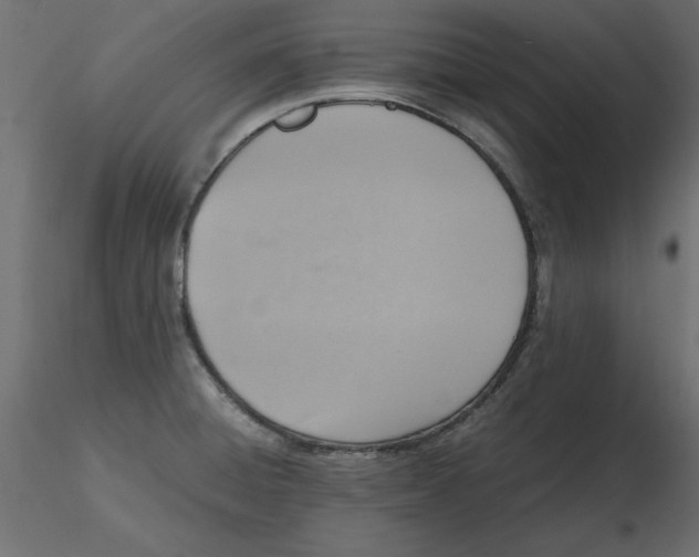 X0000116621428200912312129