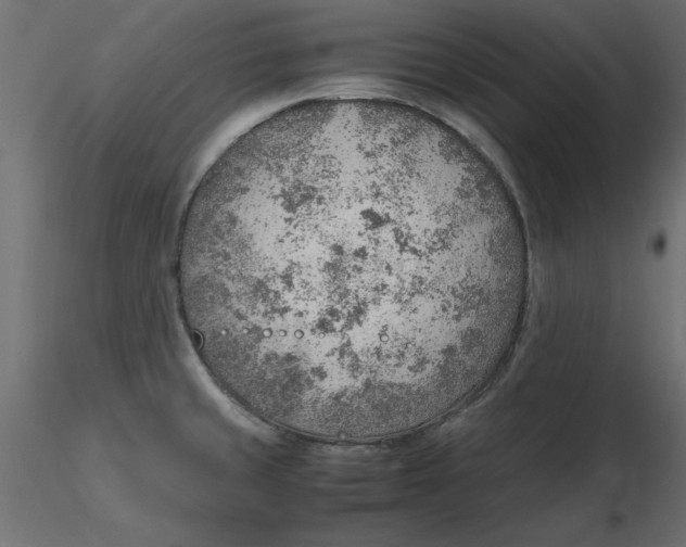 X0000116621429200912312129