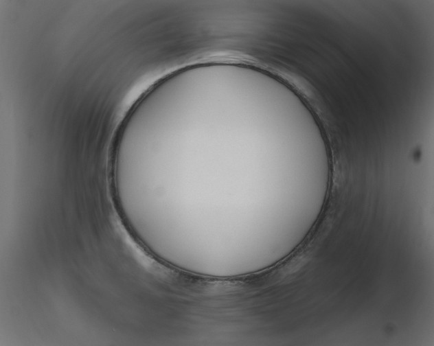 X0000116621430200912312129