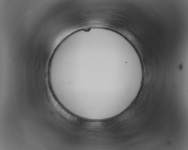 X0000116621431200912312129