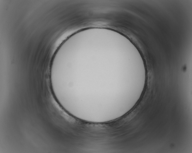 X0000116621432200912312129