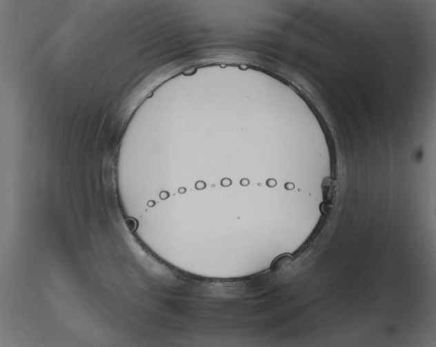 X0000116621433200912312129