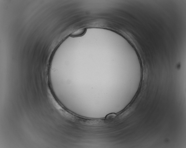 X0000116621434200912312129