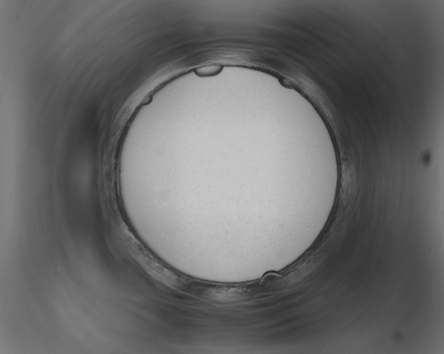 X0000116621435200912312129