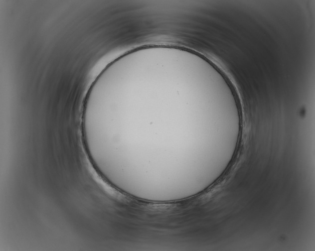 X0000116621437200912312129