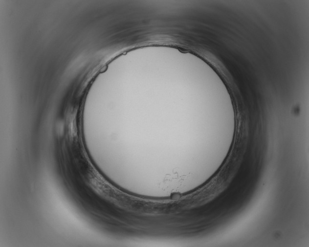 X0000116621439200912312129