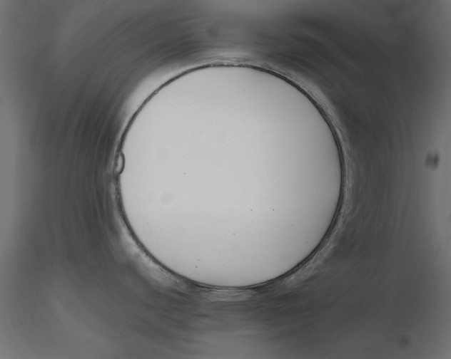 X0000116621440200912312129