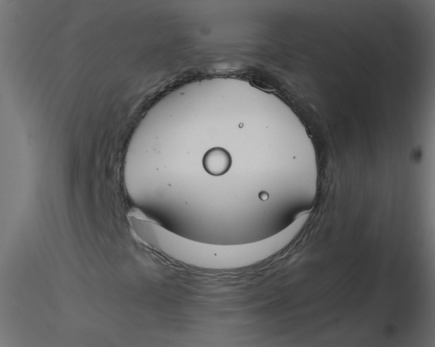 X0000116621441200912312129