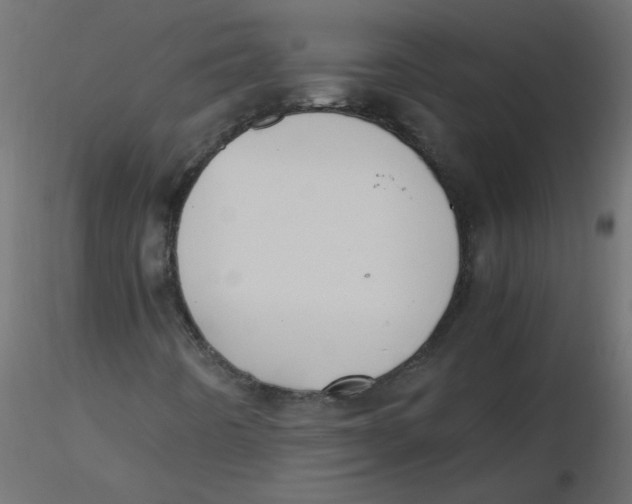 X0000116621442200912312129