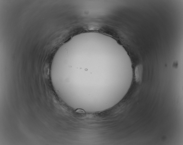 X0000116621443200912312129