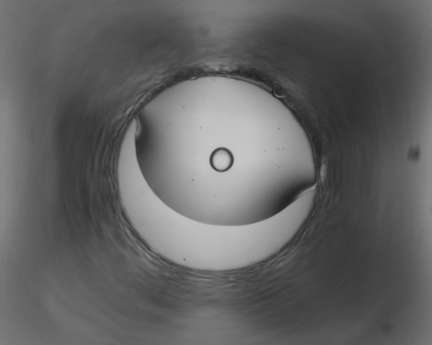 X0000116621444200912312129