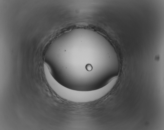 X0000116621445200912312129