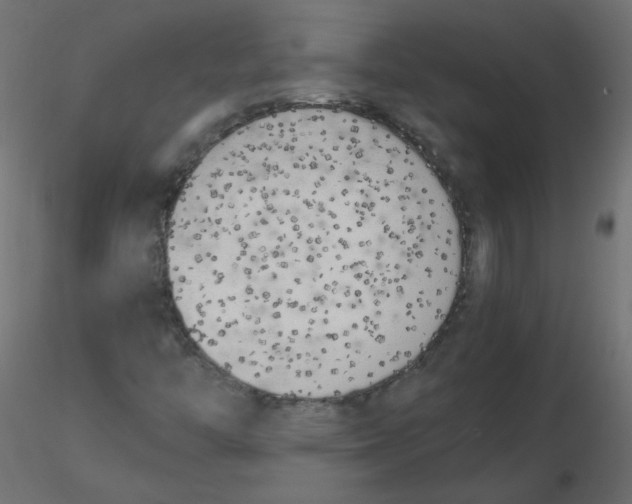 X0000116621446200912312129