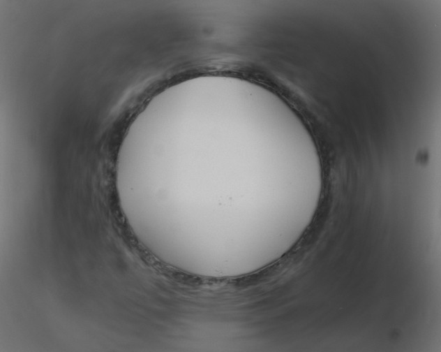 X0000116621447200912312129