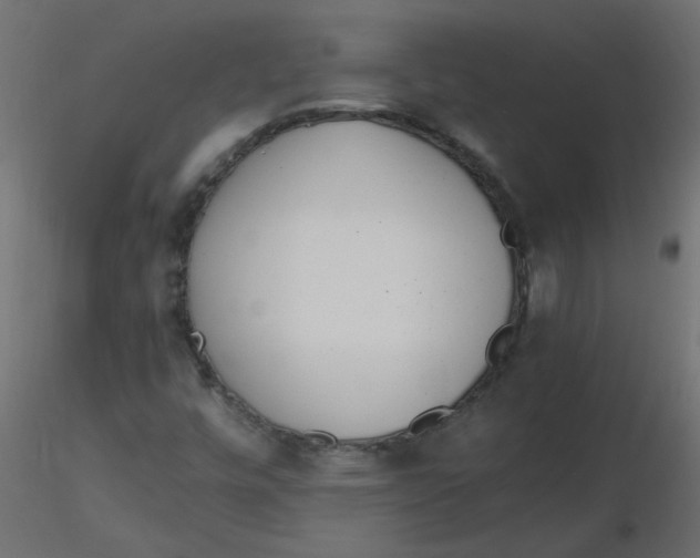 X0000116621448200912312129