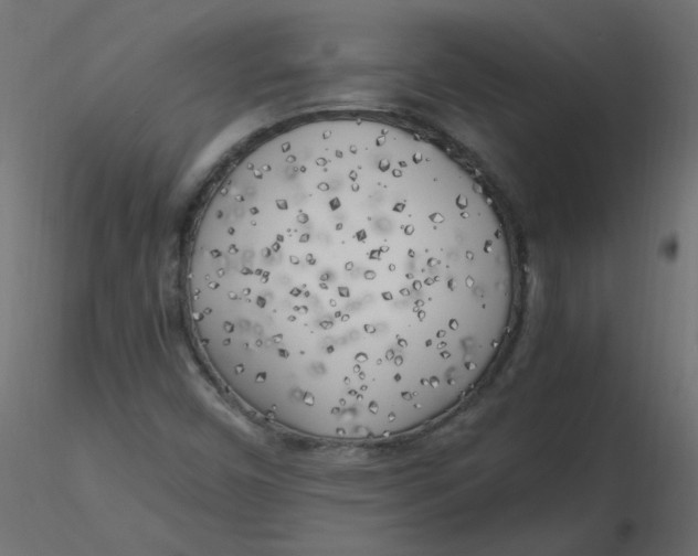 X0000116621450200912312129