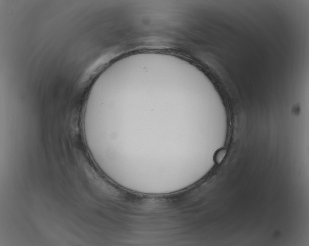 X0000116621451200912312129