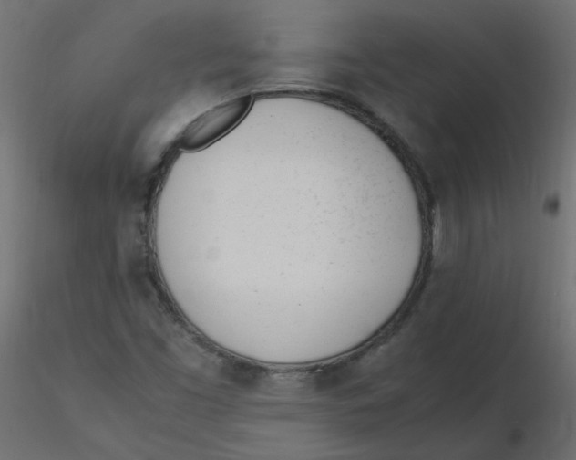 X0000116621453200912312129