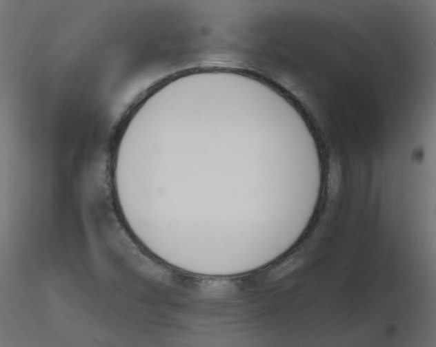 X0000116621454200912312129