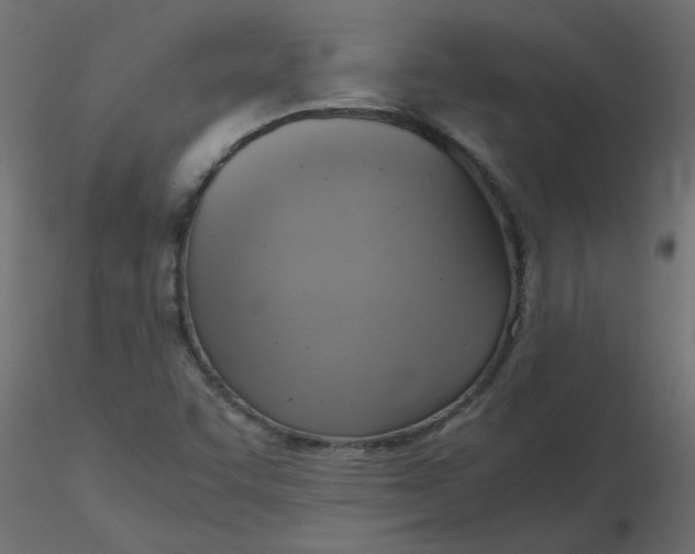 X0000116621455200912312129