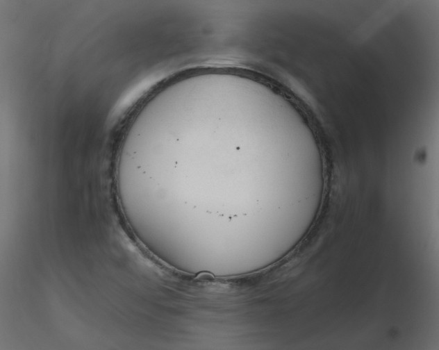 X0000116621456200912312129