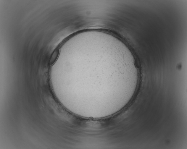 X0000116621457200912312129