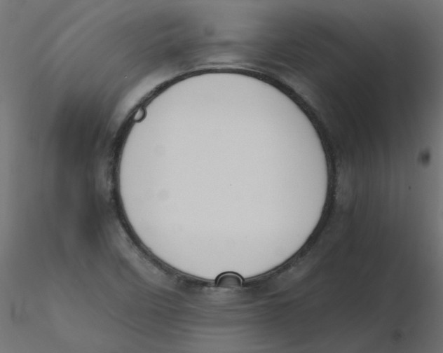 X0000116621458200912312129