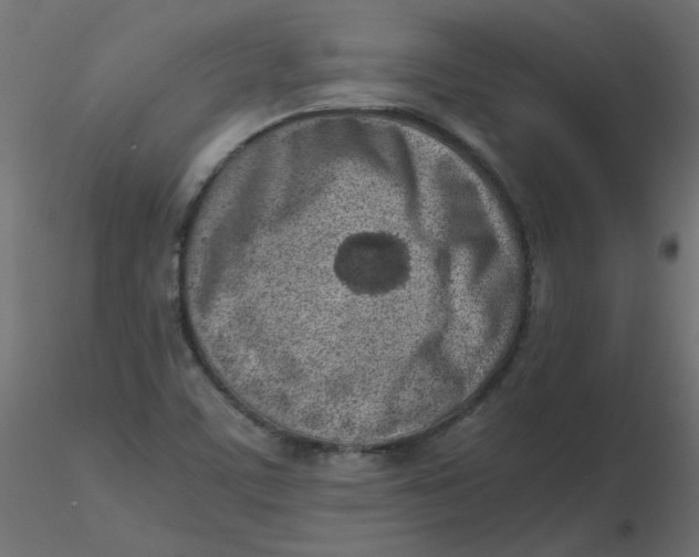 X0000116621459200912312129