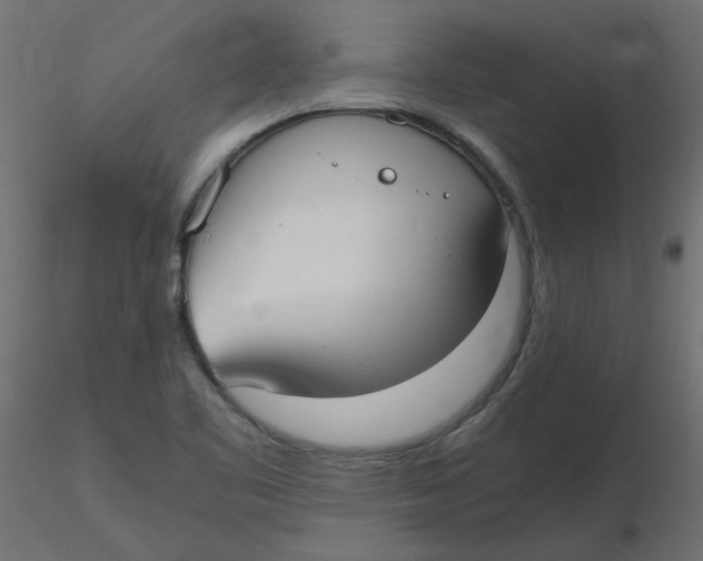 X0000116621461200912312129