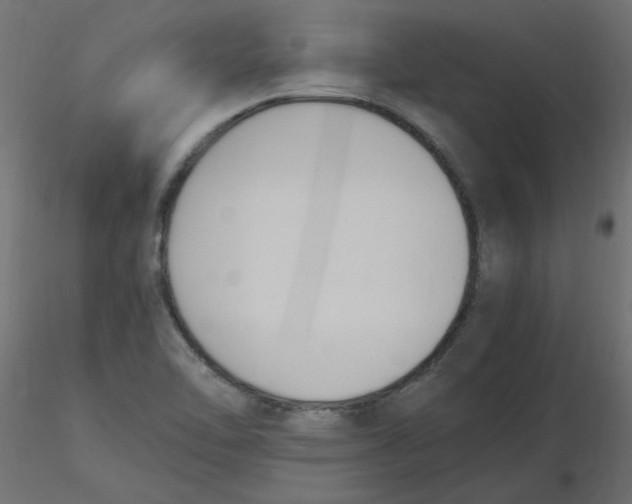 X0000116621462200912312129