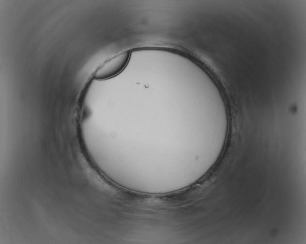 X0000116621463200912312129